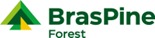 Logo da Braspine