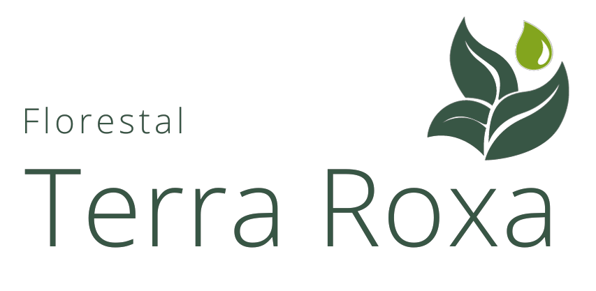 Logo parceiro H