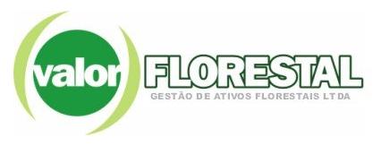Logo da Valor Florestal
